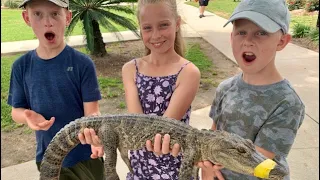 Holding Exotic Animals!! We explore a gator farm!! (Alligator Alley)