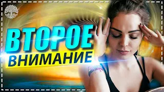 Чакры - Второе внимание (Дарья Абахтимова)