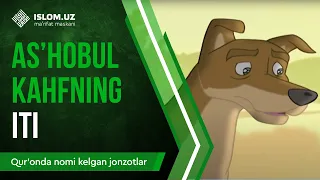 25. As'hobul-Kahfning iti (1-qism) | Qur'onda nomi kelgan jonzotlar