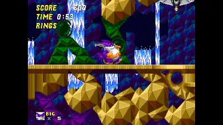 Sonic The Hedgehog 2 Pink Edition Hidden Palace Zone (Big the Cat)