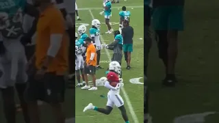 Jalen Ramsey is Coaching the dolphins defense in Training Camp #shorts