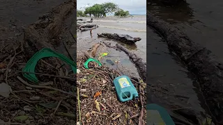 Após fortes chuvas no Rio Grande do Sul água do Guaíba invade orla em Porto Alegre