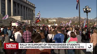 Transgender youth, allies rally at capitol ahead of vote to override veto