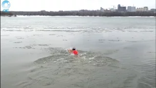 Новосибирские любители холодового плавания преодолели полтора километра по Оби