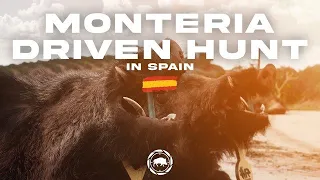 Drivenhunt - a true spanish Monteria! Great shots on Wildboars and Redstags