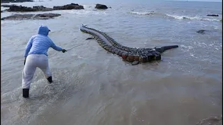 What a Man Captured in a River Shocked the Whole World