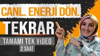 12) Canlılarda Enerji Dönüşümleri FULL TEKRAR | 12. Sınıf Biyoloji | AYT Biyoloji Konu Anlatımı 12