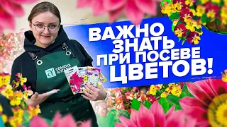 ПОСЕЙТЕ ИХ СЕЙЧАС! Гацания, виола, львиный зев. Как выбрать емкость для посева