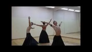 Шоу балет FLY-dance. Киев. Созвездие трех.www.fly-dance.com.ua