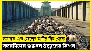 Golden Escape Movie Explain in Bangla|Survival|Thriller|The World Of Keya