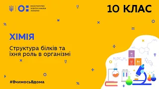 10 клас. Хімія. Структура білків та їхня роль в організмі (Тиж.9:СР)