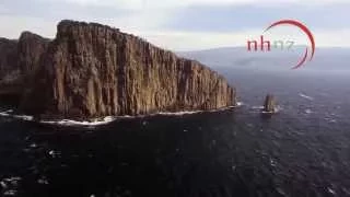 Wild 24: Tasmania - The Devil's Island