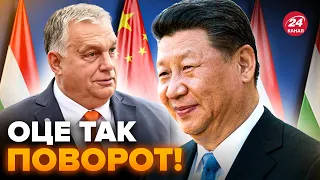 Xi Jinping made an unexpected statement. Meeting with Orban changed everything. Details surfaced