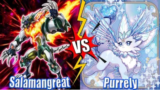 Salamangreat vs Purrely - High Rated DB Yu-Gi-Oh! | Dueling Book | POST-CYAC