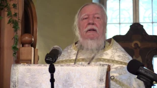 Дмитрий Смирнов Проповедь в день памяти святых равноапостольных Кирилла и Мефодия (2015)