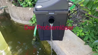 Schwebealgen im Teich bekämpfen