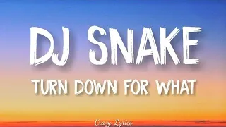 DJ Snake (Lyrics) Lil Jon - Turn Down for What