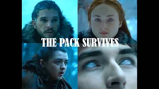 Jon Sansa Arya & Bran | The Pack Survives