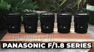 The Beauty of the Panasonic f/1.8 Series Lenses