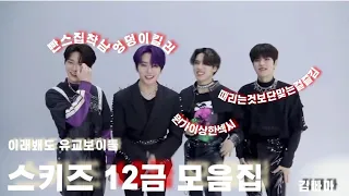 [스트레이키즈/straykids] 스키즈 너희 유교보이 맞아?/스키즈 12금 모음집/모음집