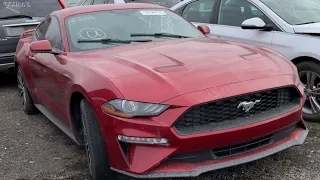 Как я вляпался купив соленый утопленный Ford Mustang с аукциона copart