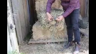 Whoa Steady Neddy fitting a Large Slow Feeding Hay Net