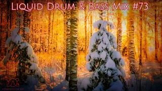 Liquid Drum and Bass Mix 2023 #73