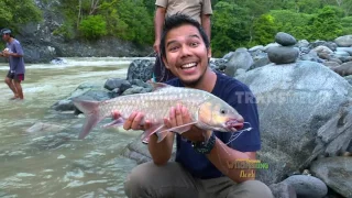 JEJAK PETUALANG - KILAU IKAN KERLING TANAH RENCONG (5/4/17) 3-2