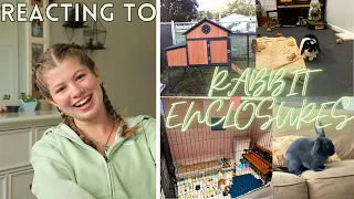 Reacting To Subscribers' Rabbit Enclosures...again