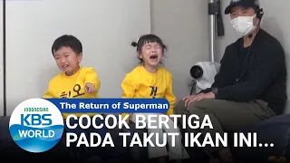 Mereka Bertiga Takut Ikan Ini... [The Return of Superman/24-05-2020][SUB INDO]