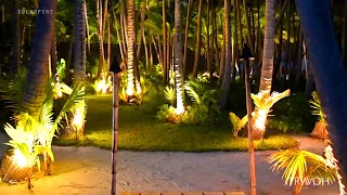 Tropical Island Drone Views At Night | Motu Tane | Bora Bora, French Polynesia 🇵🇫 | 4K Travel