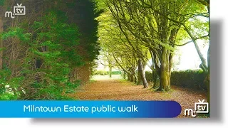 Milntown Estate public walk: votes needed