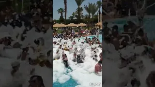 شرم الشيخ فندق الباتروس رويال جراند شرم -egypt, sharm elsheikh - albatros royal grand sharm hotel