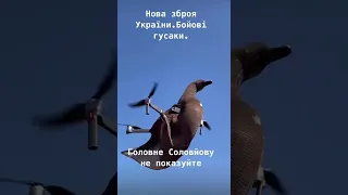 Нова зброя біолабораторій - бойові гусаки!