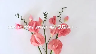 How to make ‘Sweet Pea’ sugar flowers