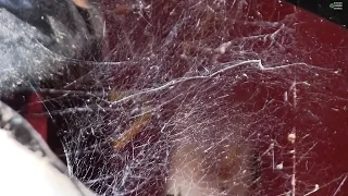 DIY special effects COBWEBS from repurposed Styrofoam DIY Realistic Spider Web Throwing