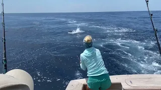 Marlin Madness on Allure II