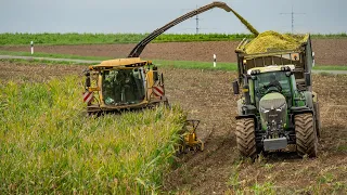 Maize harvest in Luxembourg / 2x Fendt 936 Vario / Dellferme / Silage