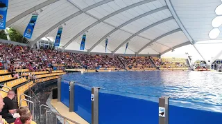 tenerife island puerto de la cruz spain septembrp eople at orca show in loro parque teneri