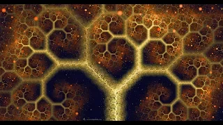 Fractals - Hunting the Hidden Dimension