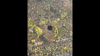 What Dortmund's Yellow Wall REALLY sounds like🔊 #football #podcast #shorts