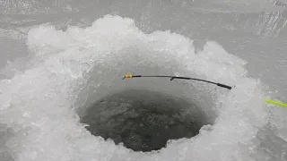 СПОРТИВНИЙ ОКУНЬ / ОХОТА НА РИБАЛКУ / ЗИМОВА РИБАЛКА / ОКУНЬ / ОКУНЬ НА МОРМИШКУ / ОКУНЬ НА МОТИЛЬ