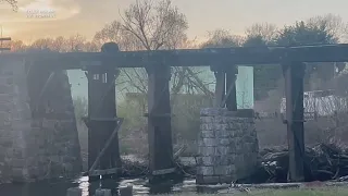 Mama Bear Saves Cub After Plummet Into River