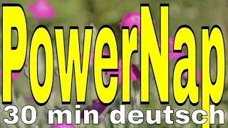 Powernap 30 min Mittagsschlaf Kurzschlaf Power-Schlaf Hypnose Meditation Power Napping deutsch NSDR