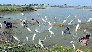 TERKEJUT ! Perburuan ikan besar-besaran dengan jarring di Bheri