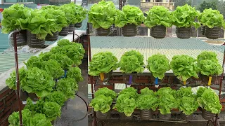 Vertical Garden With Drip Irrigation To Grow Lettuce, Simple, Creative, High Yield