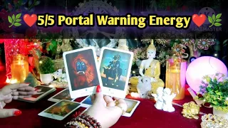 🌿❤5/5 Portal Warning Energy❤🌿Current Feelings Next Action ☘️🧿Timeless Tarot Reading