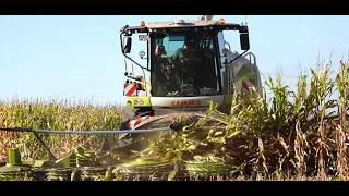 Claas - Fendt - New Holland - MF - ++ / Maissilage - Silaging Maize  2023  pt1