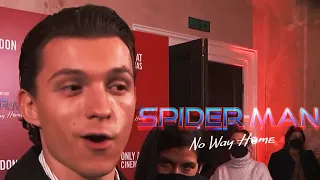 Spider-Man No Way Home - Tom Holland the Future of SPIDER-MAN