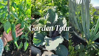 Garden Tour|| Winter garden #wintergarden #gardentour #organicgardening #homegrown #countrylife